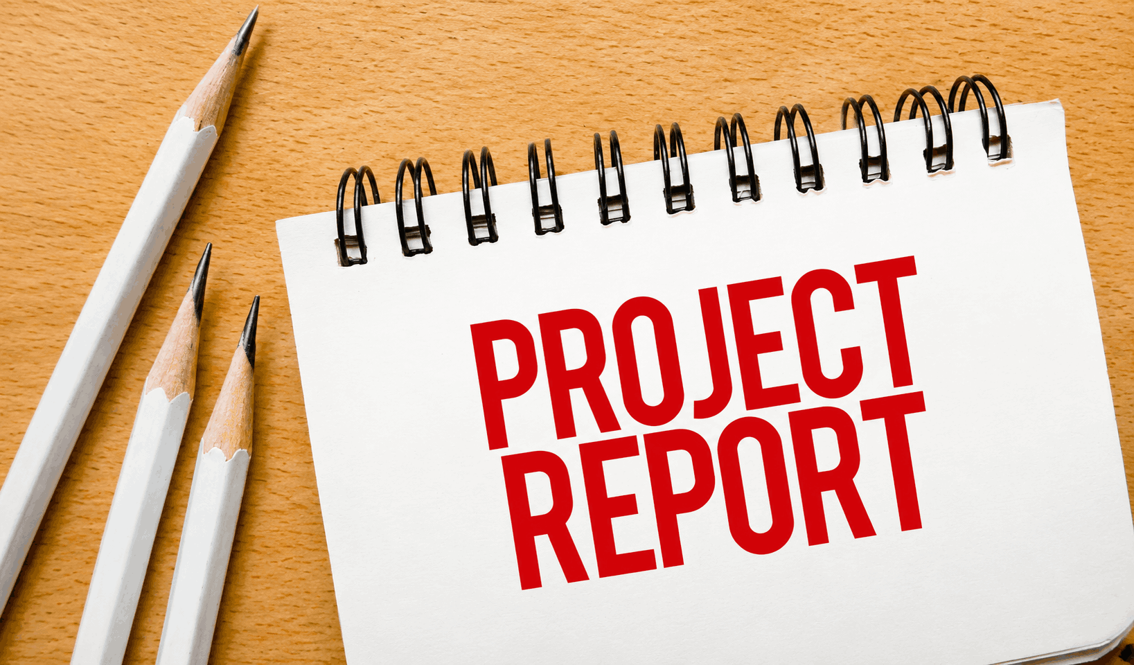 Project Report